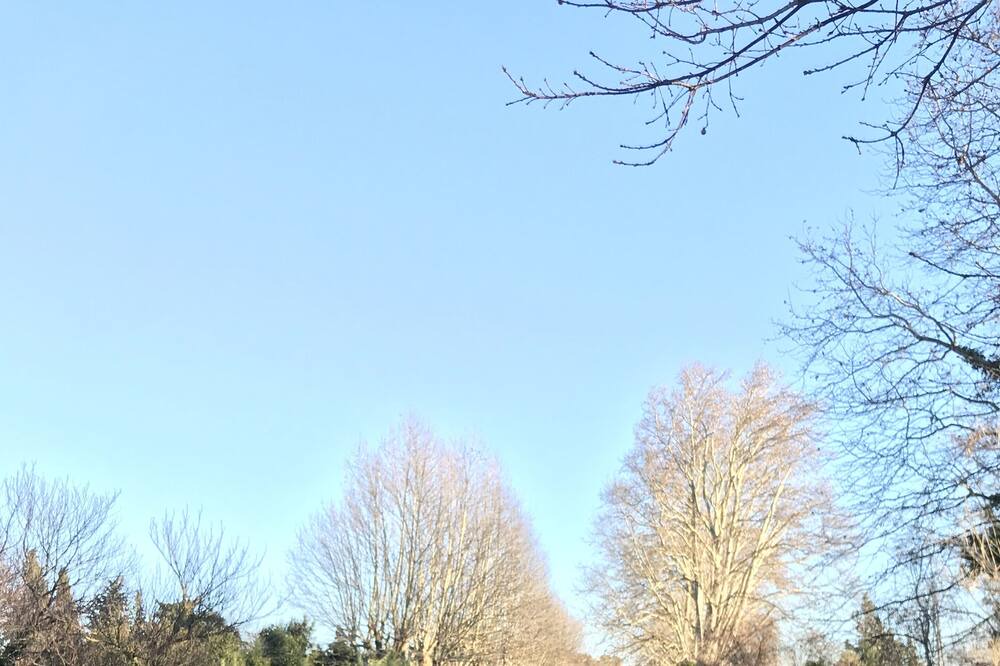 Photo of Outdoor in Loriol-du-Comtat