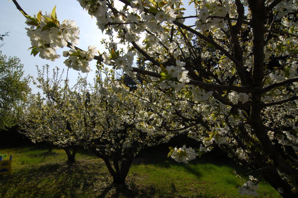 Photo of Outdoor in Loriol-du-Comtat