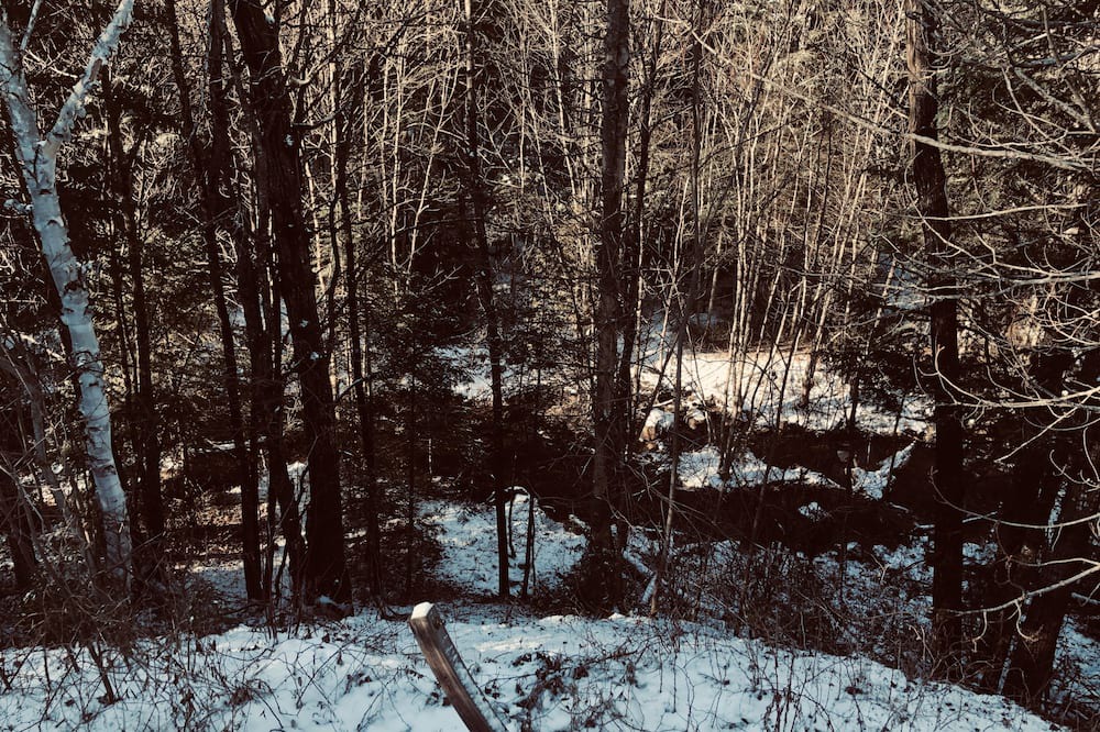Photo of Others in Saint-Alphonse-Rodriguez