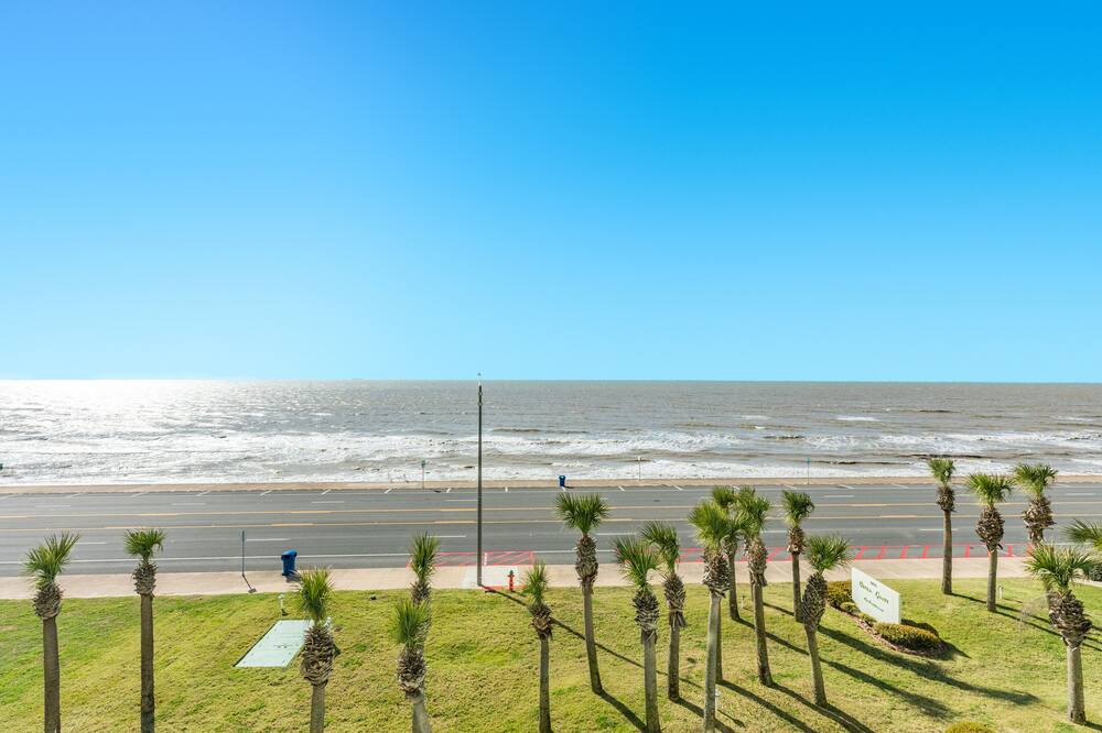 Photo of Others in Galveston