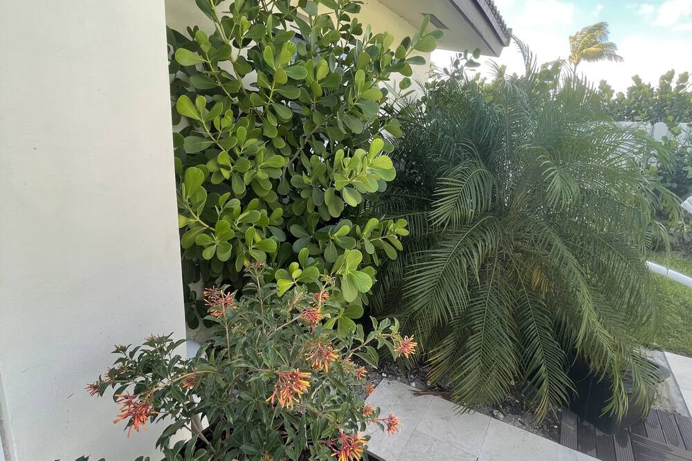 Photo of Outdoor in Central Corals
