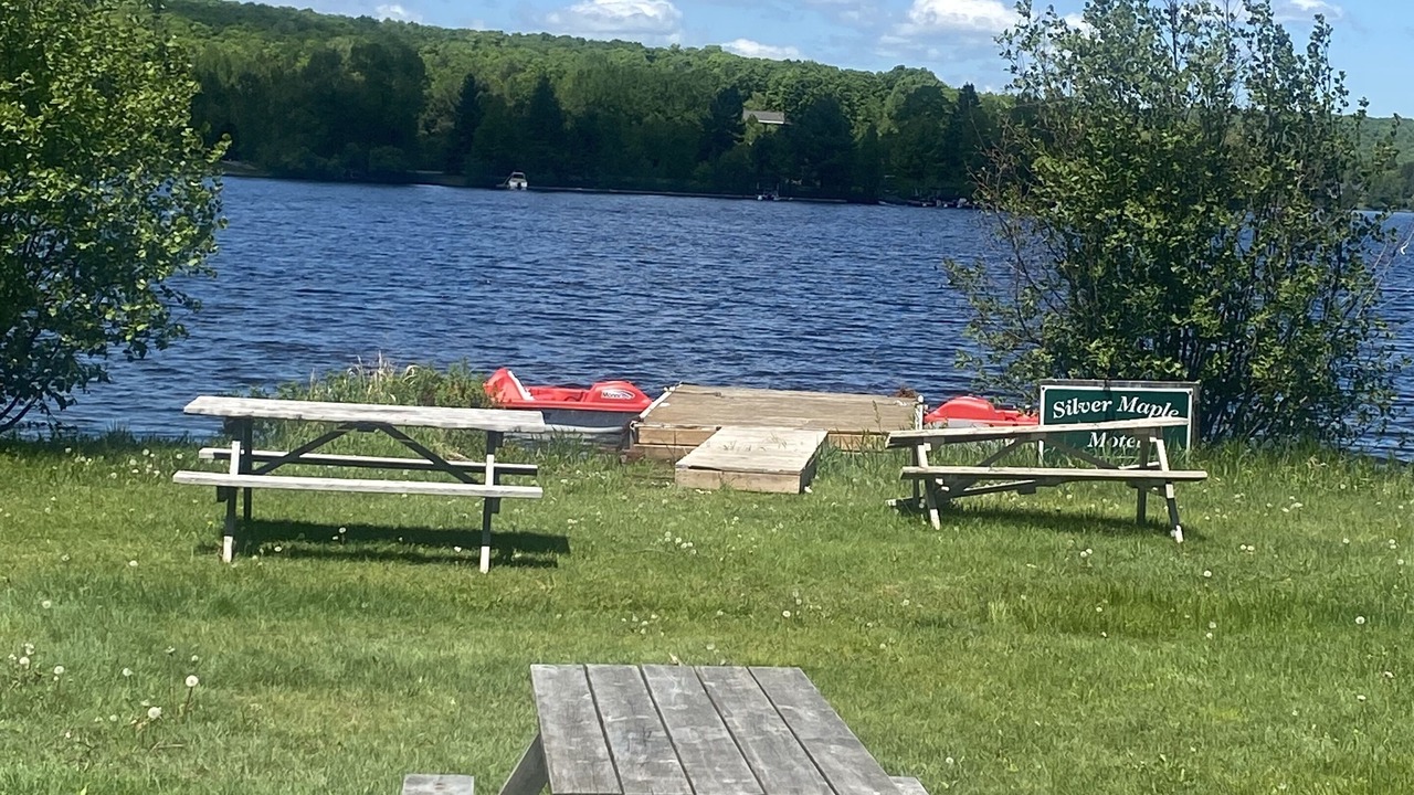 Photo of Outdoor in Haliburton