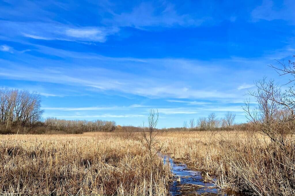 Photo of Others in Fox Lake