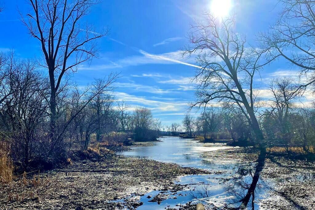Photo of Others in Fox Lake