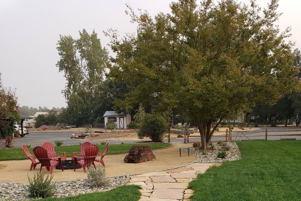 Photo of Outdoor in Woodland