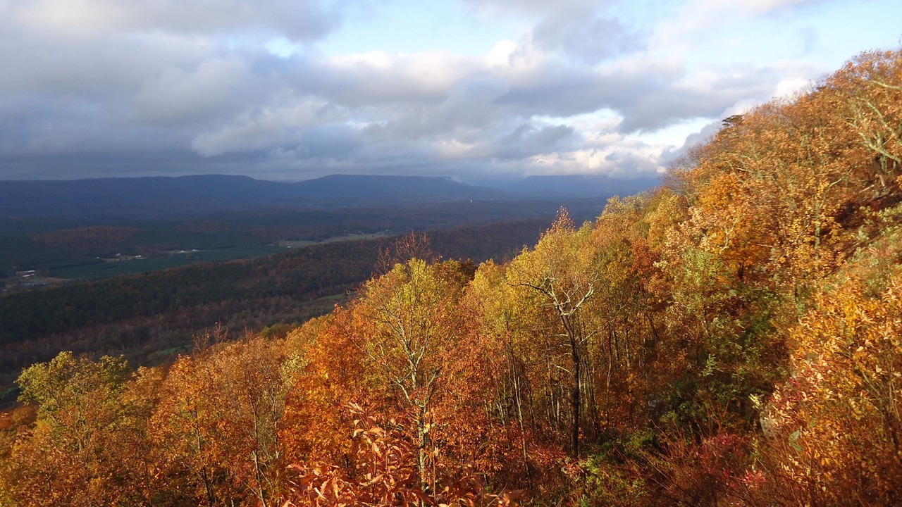 Photo of Outdoor in Mentone