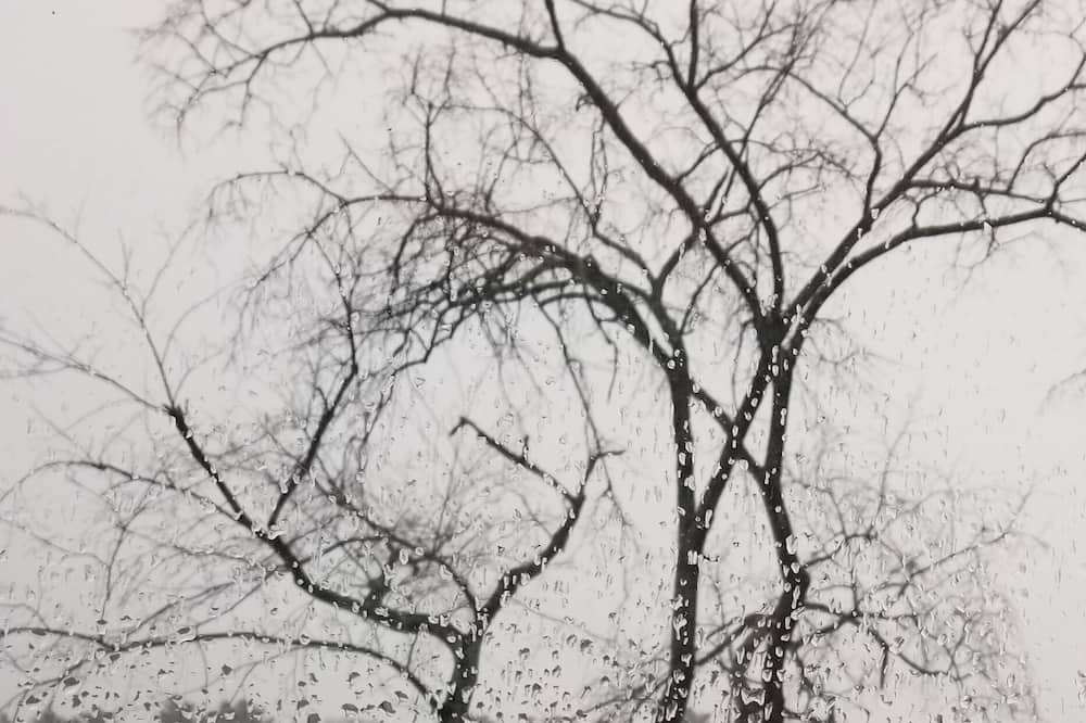 Photo of Others in North Attleboro