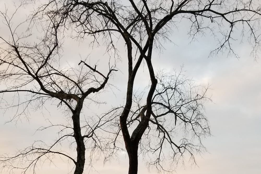 Photo of Others in North Attleboro