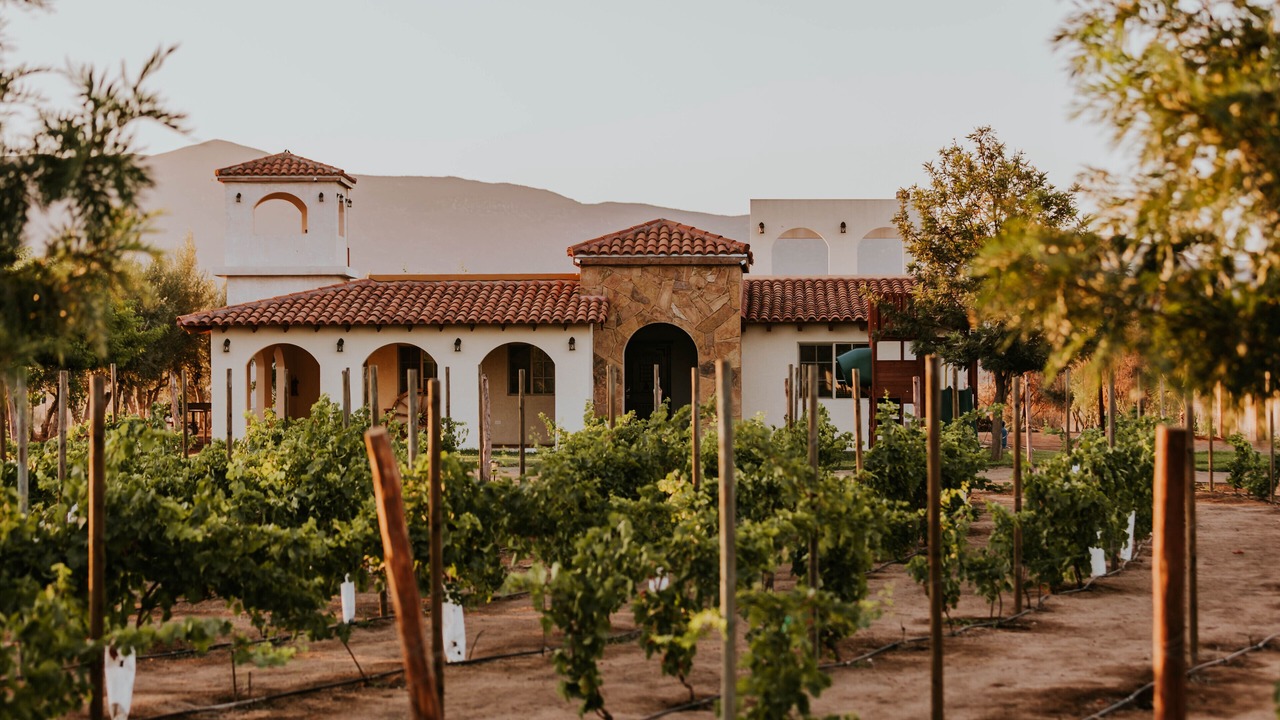 Photo of Others in Valle de Guadalupe