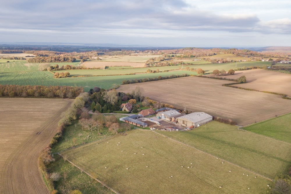 Photo of Others in Bilting