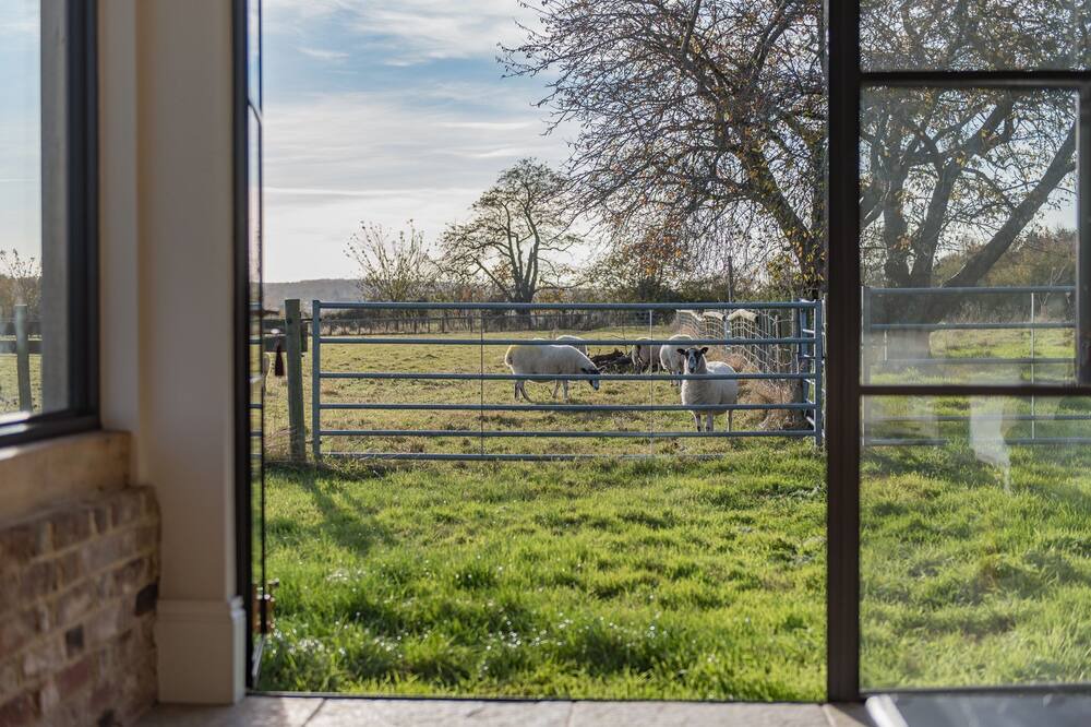 Photo of Others in Bilting