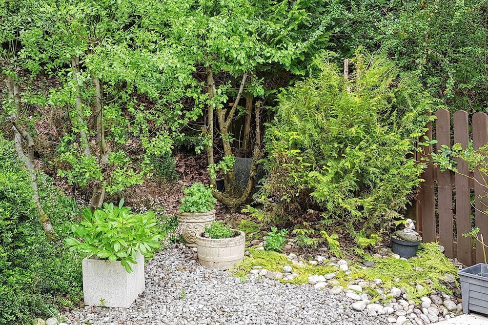 Photo of Outdoor in Aberfoyle