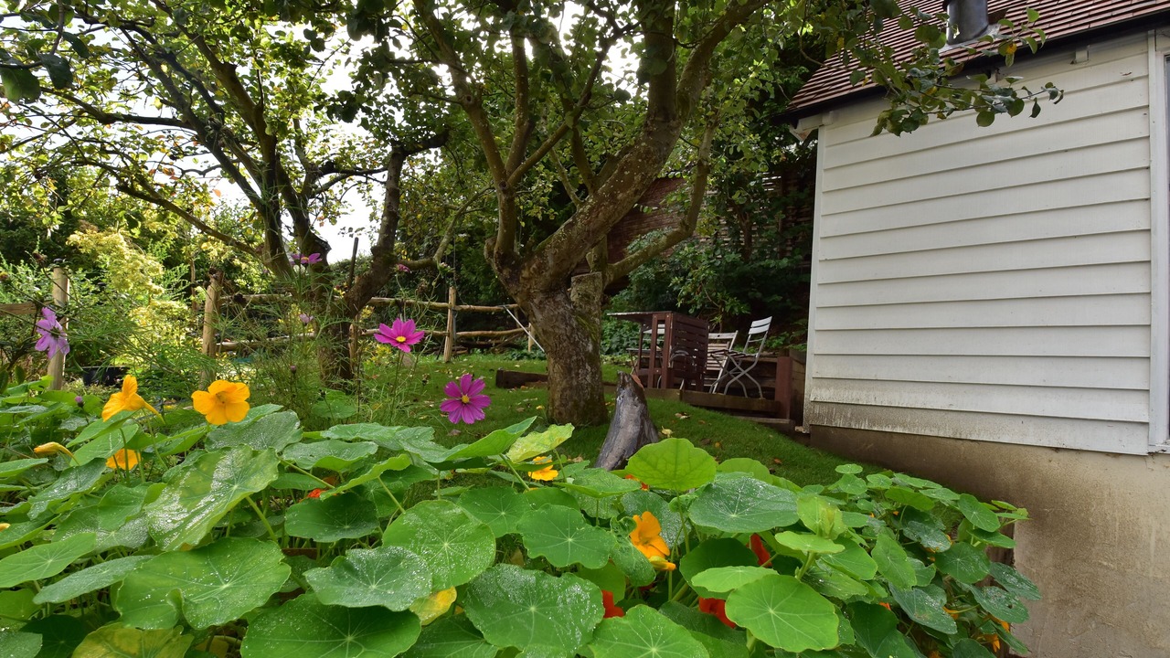 Photo of Outdoor in Playden