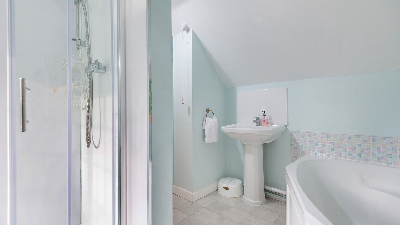 Photo of Others in New Forest District