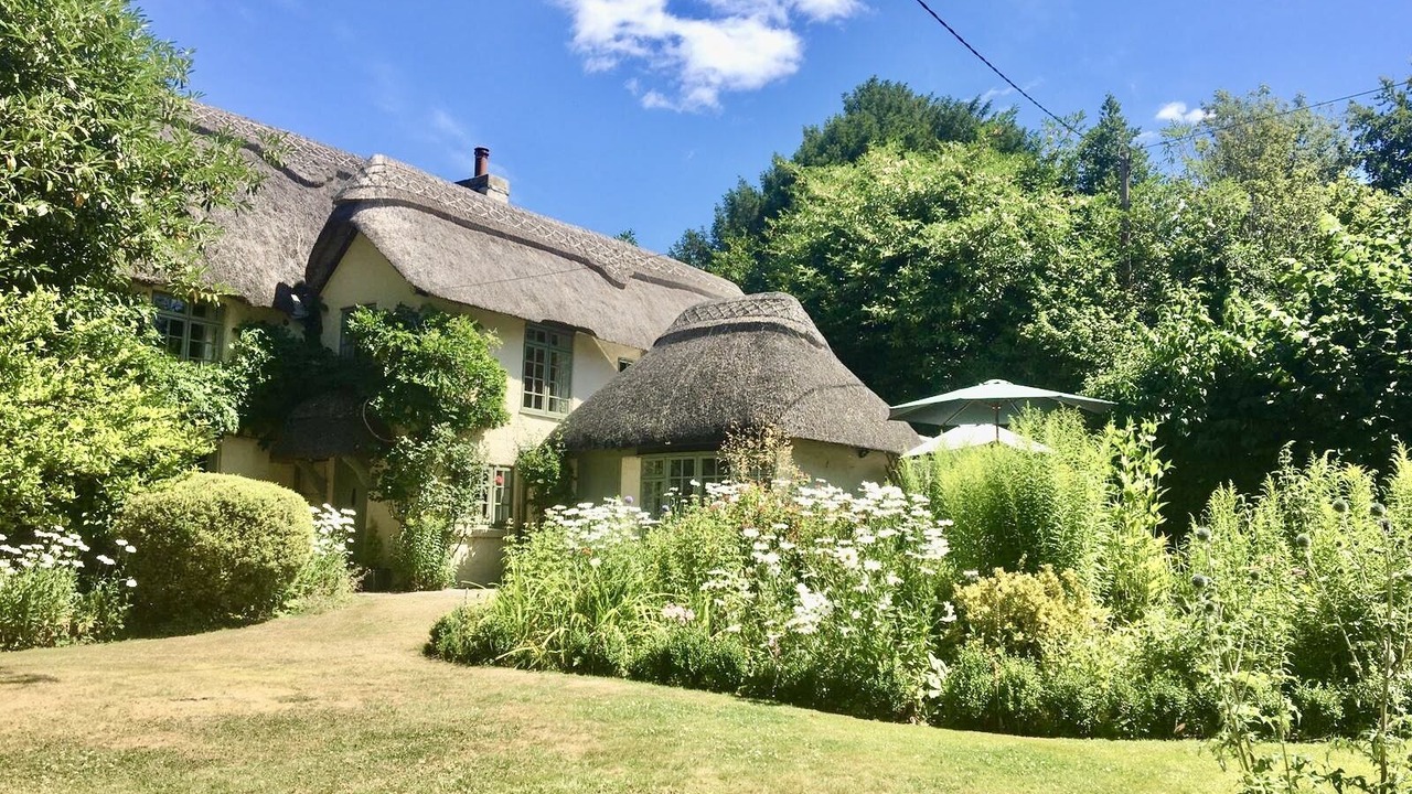 Photo of Outdoor in New Forest District