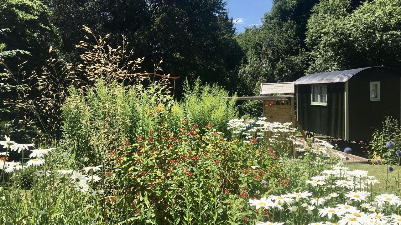 Photo of Outdoor in New Forest District