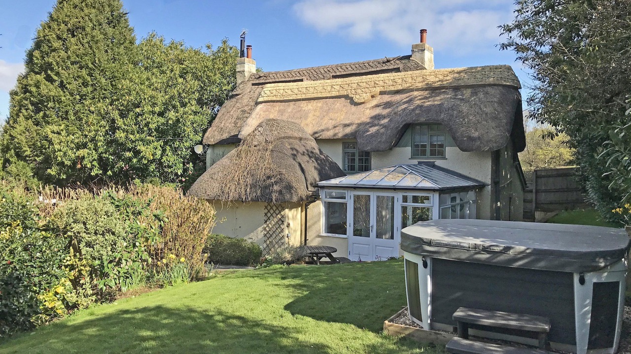 Photo of Outdoor in New Forest District