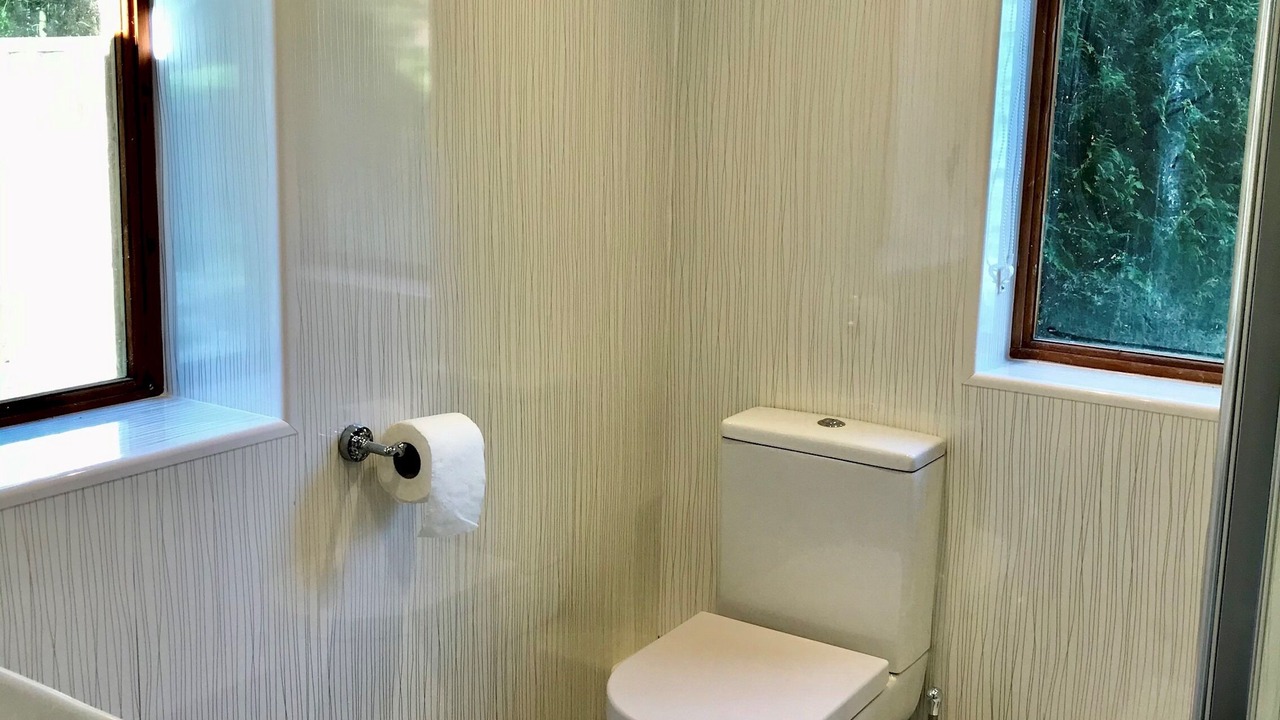 Photo of Others in New Forest District