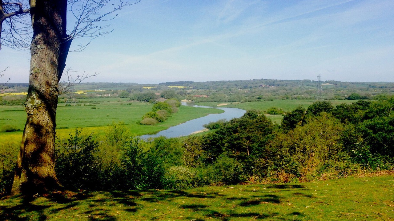 Photo of Outdoor in New Forest District