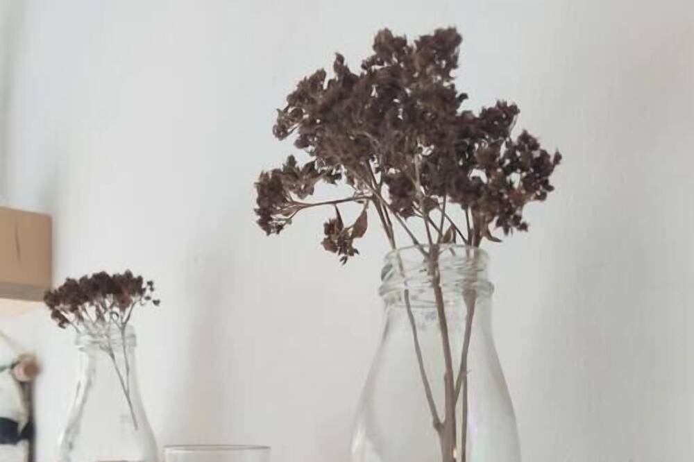 Photo of Others in Reigate