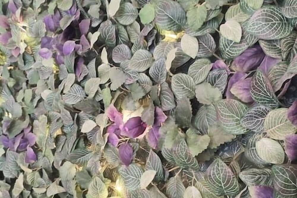 Photo of Others in Reigate