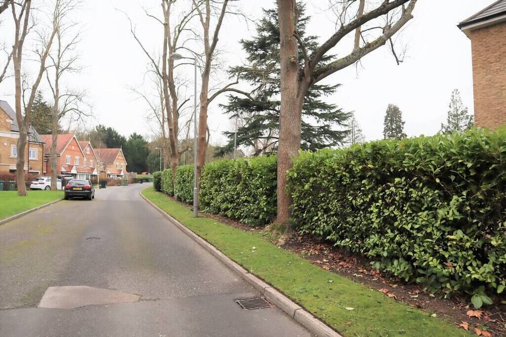 Photo of Others in Epsom