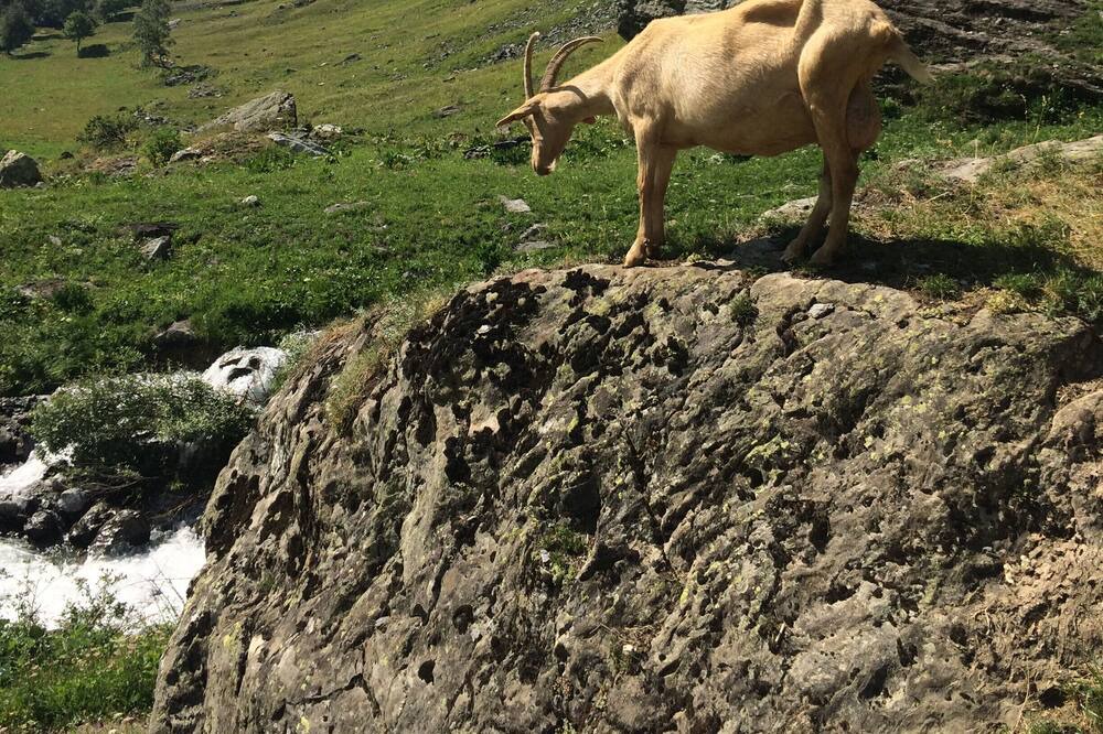 Photo of Others in Plangagnant