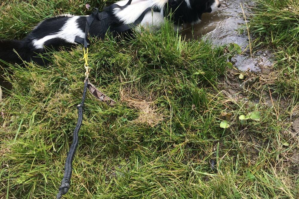 Photo of Outdoor in Plangagnant