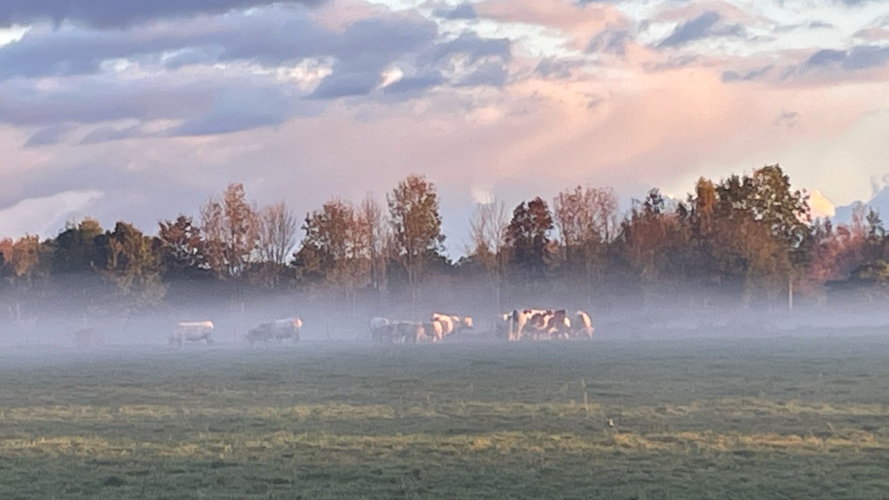 Photo of Others in Genneville