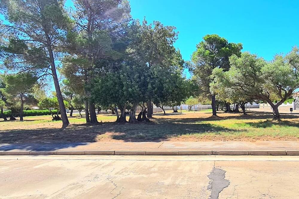 Photo of Outdoor in La Torre del Sol