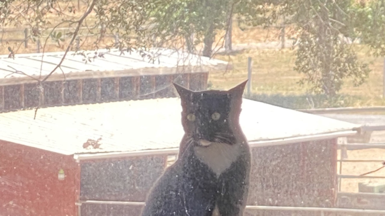 Photo of Outdoor in Alpine