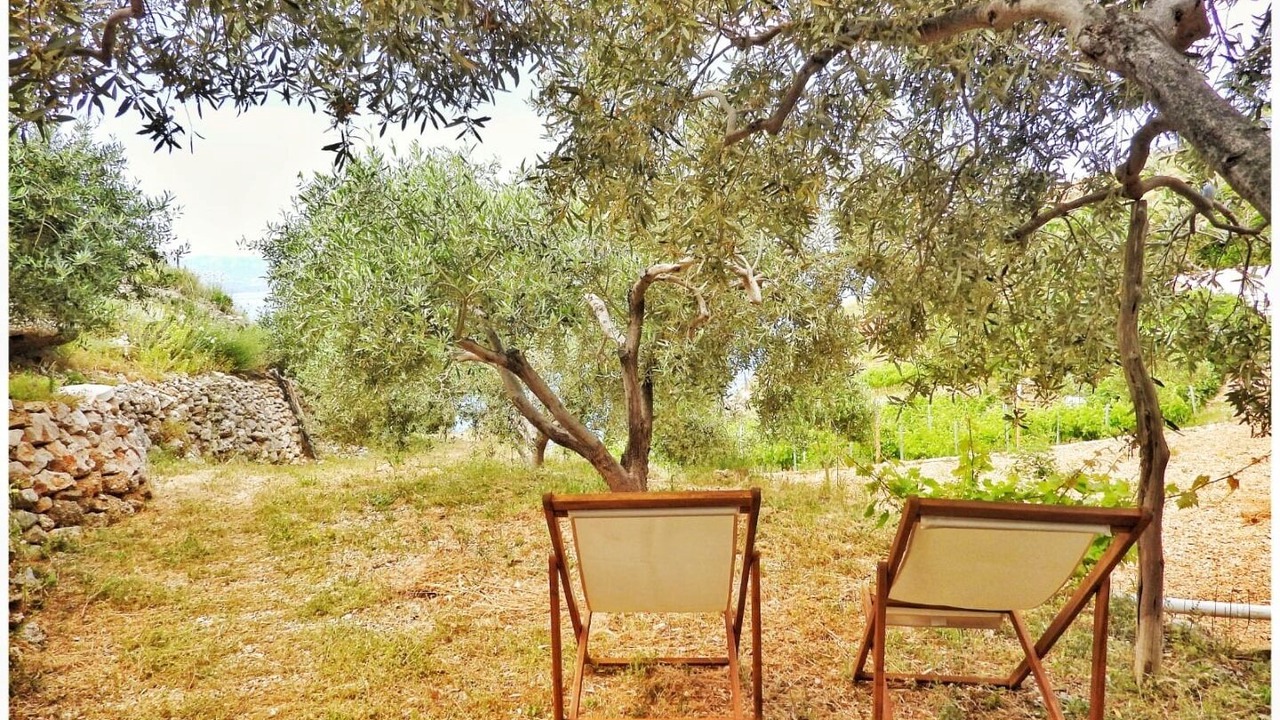 Photo of Outdoor in Bol