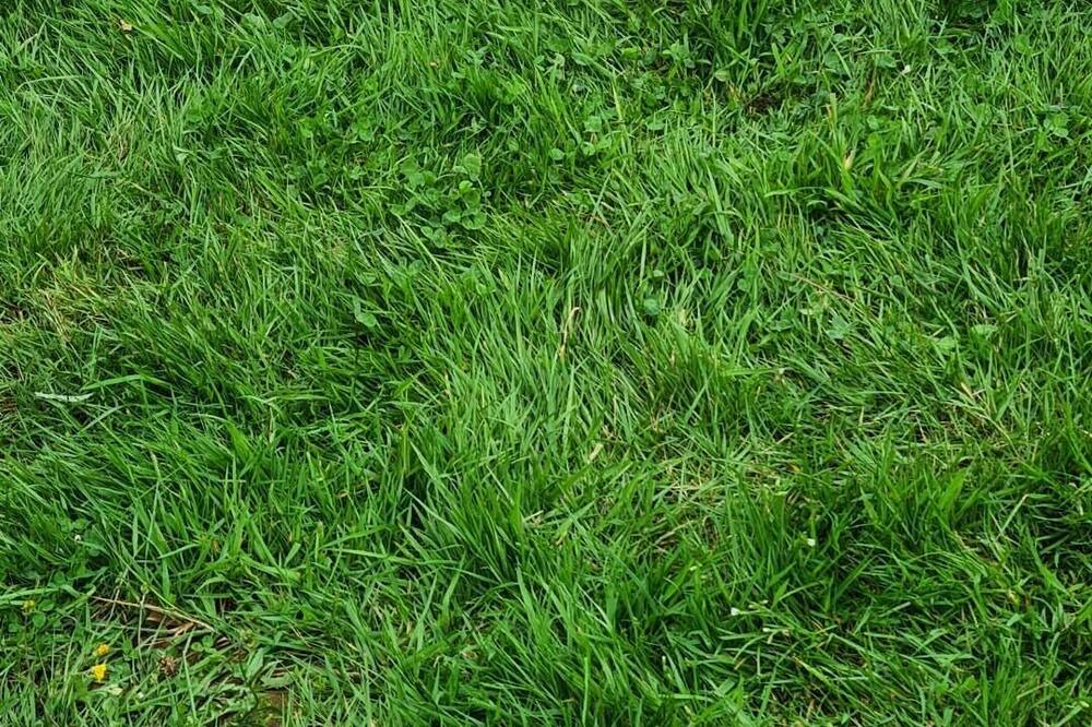 Photo of Others in Les Grandes-Ventes