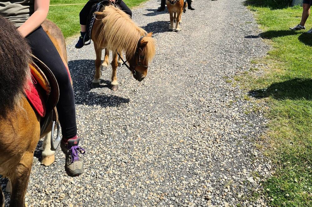 Photo of Others in Les Grandes-Ventes