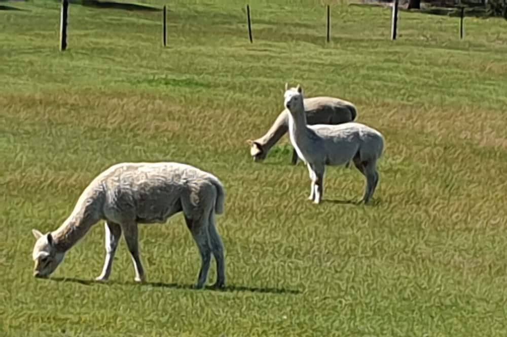 Photo of Outdoor in Lal Lal