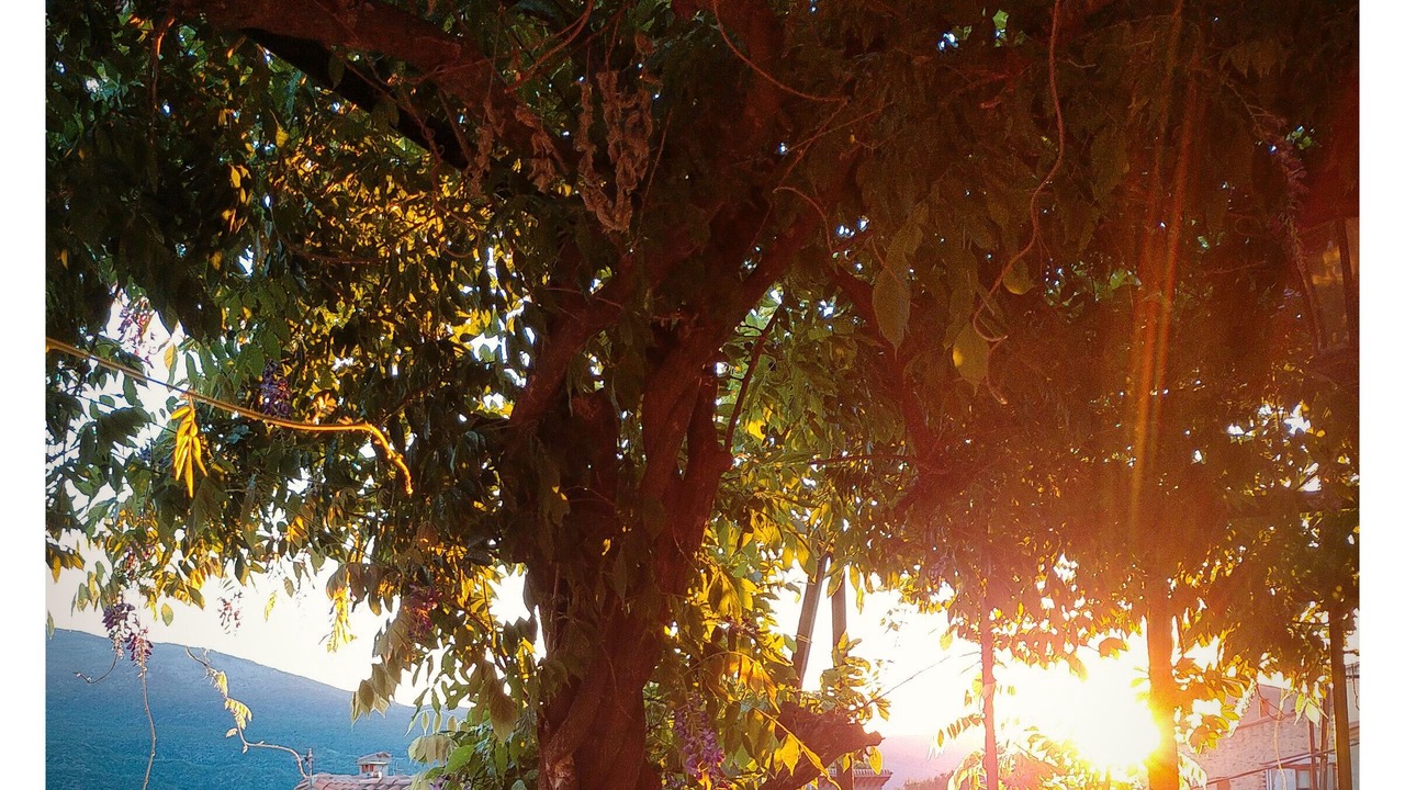 Photo of Patio Balcony in Prades