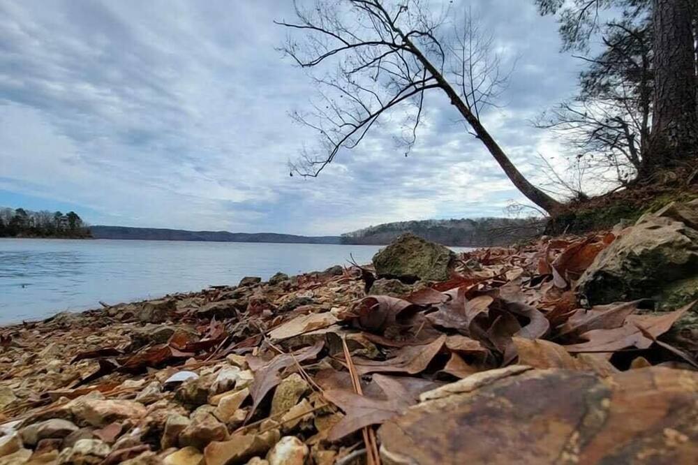 Photo of Others in Iuka