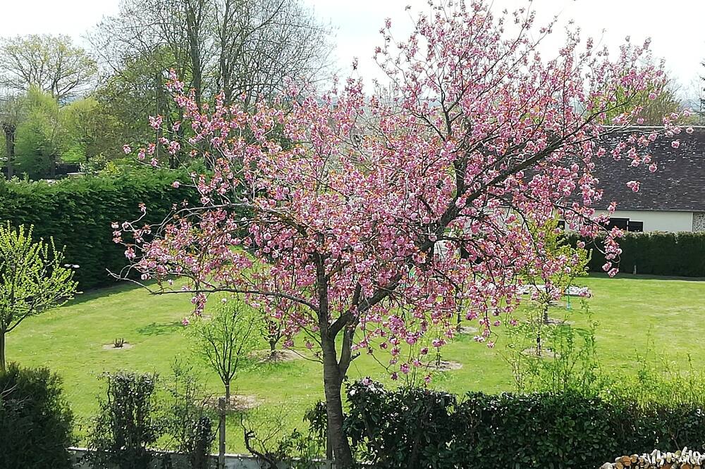 Photo of Outdoor in Saint-Ouen-sur-Iton
