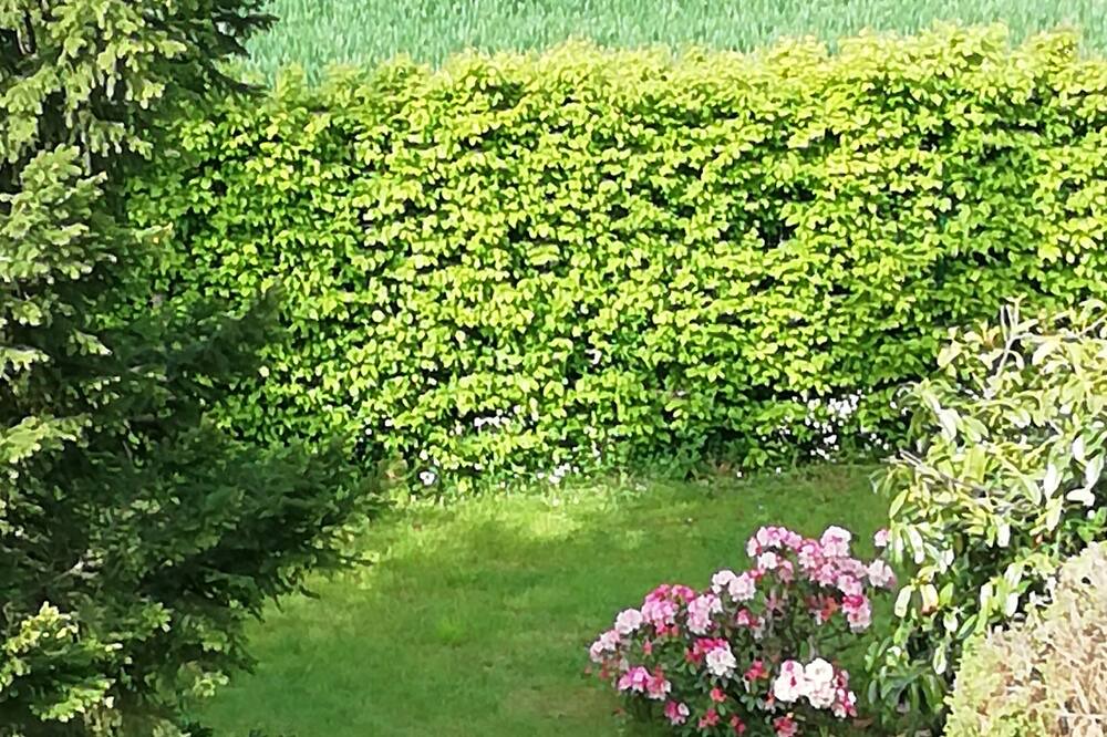Photo of Outdoor in Saint-Ouen-sur-Iton