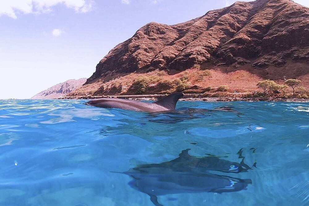 Photo of Others in Waianae