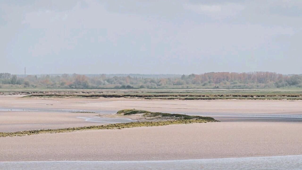 Photo of Others in Cayeux-sur-Mer