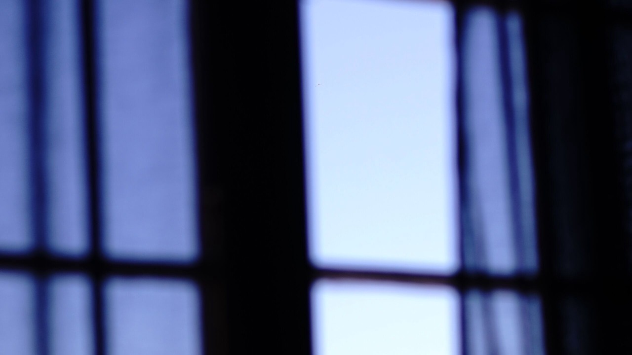 Photo of Others in Te Aro