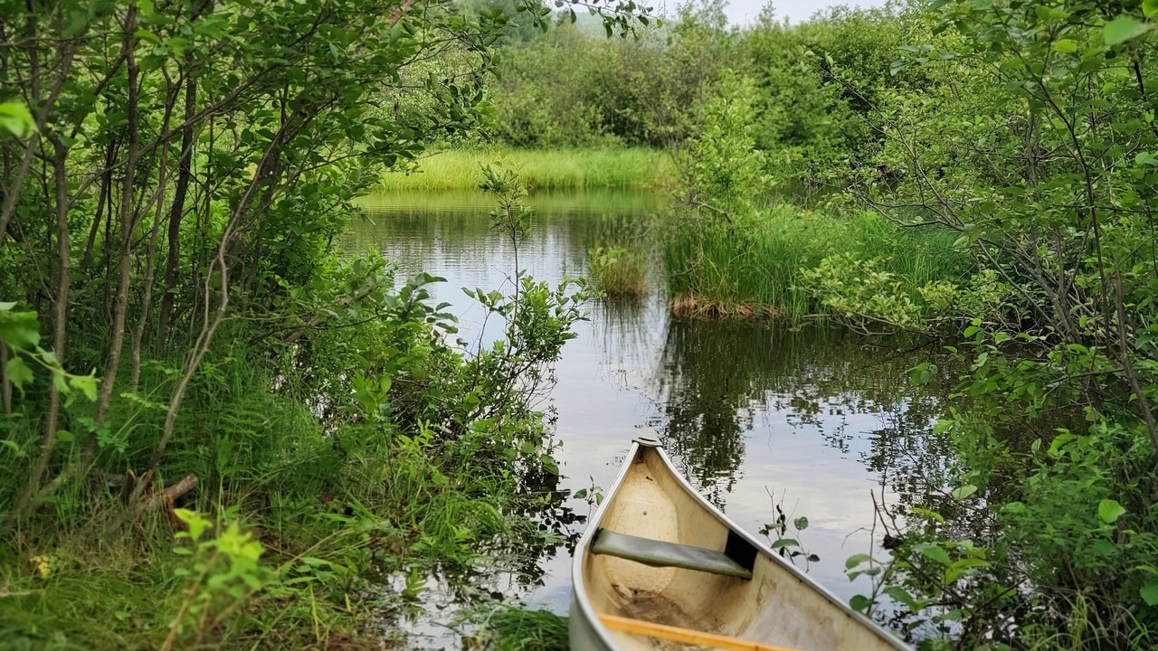 Photo of Outdoor in Mauricie