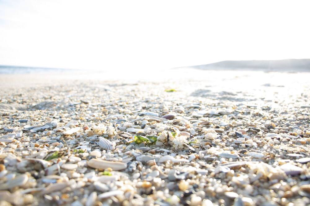 Photo of Others in Quogue