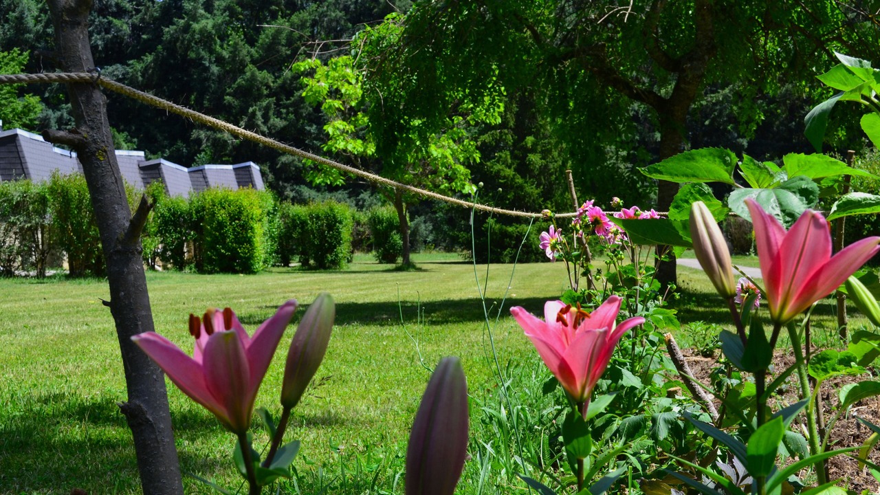 Photo of Outdoor in Les Cabannes