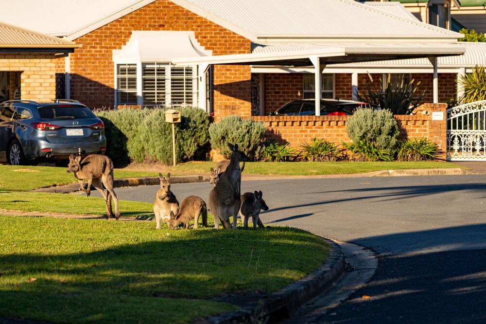 Photo of Outdoor in Maloneys Beach