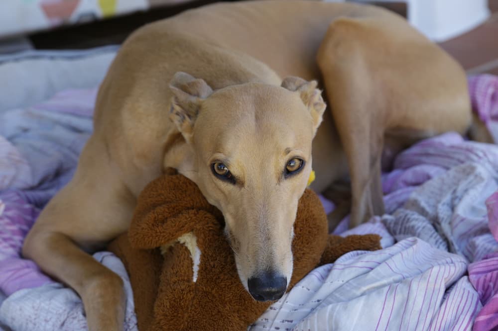 Photo of Others in Maloneys Beach