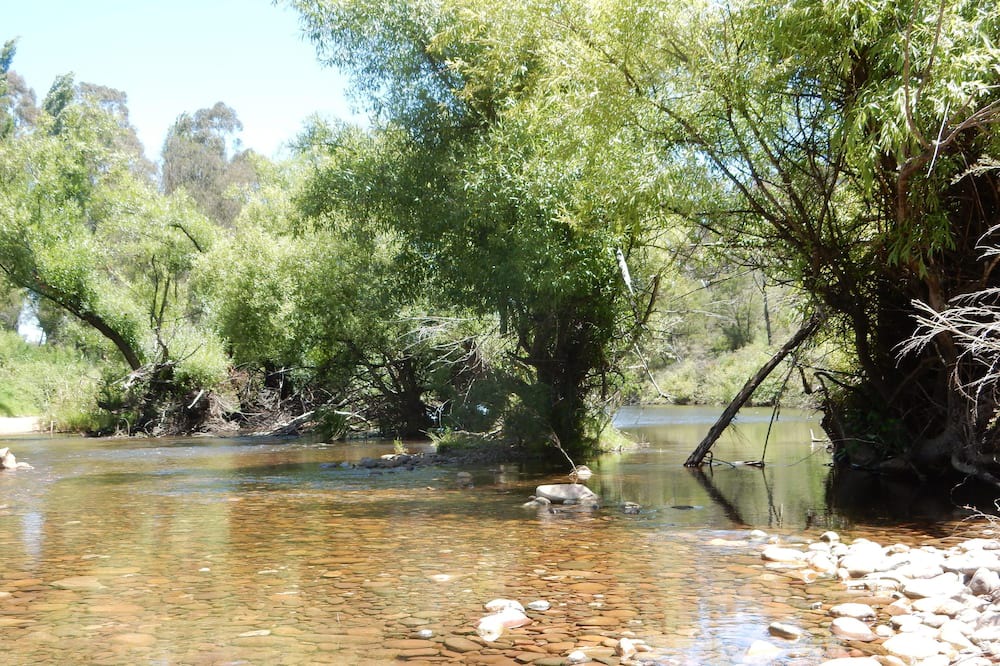 Photo of Others in Valencia Creek