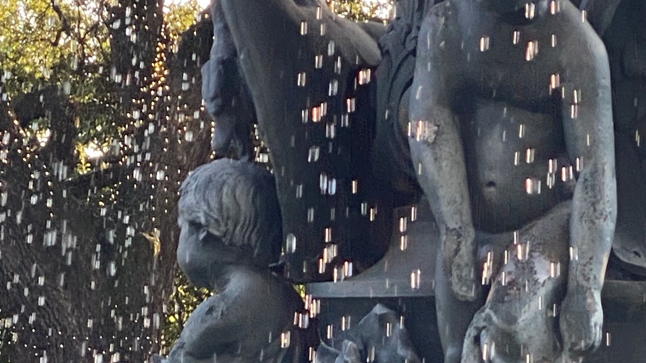Photo of Others in Natchez