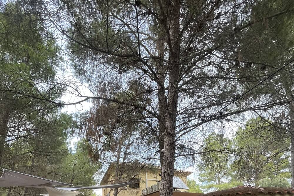 Photo of Outdoor in El Pinell de Brai